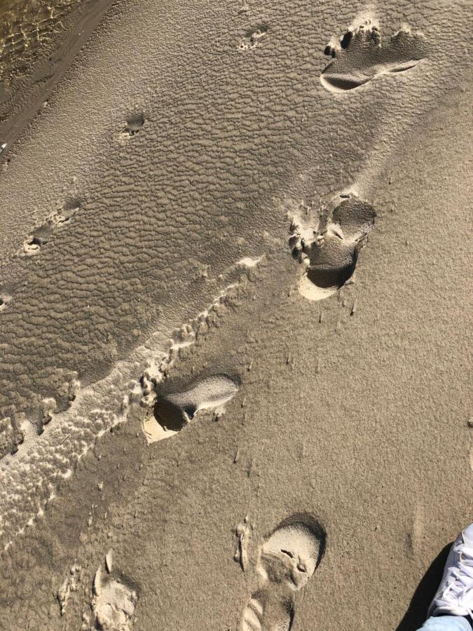 Opale Baie * Berck